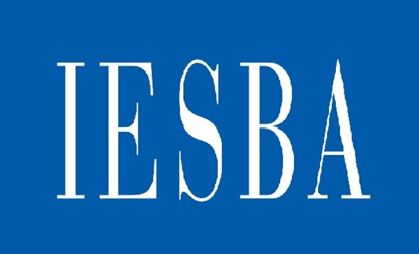 از IESBA چه می دانید؟ بررسی هدف و فرایند انجام کار